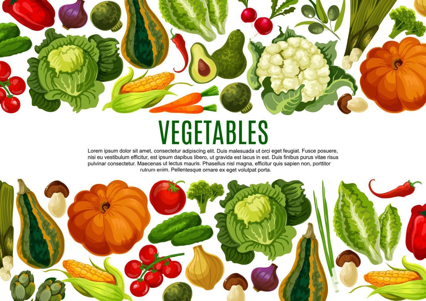 conception de bannière de bordure de légumes et de champignons vecteur