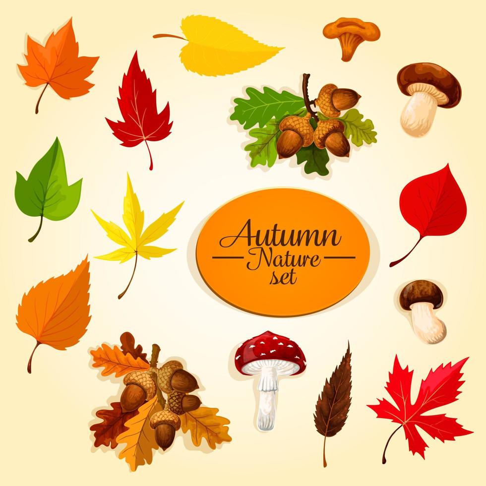 icône de la saison d'automne sertie de feuilles et de champignons vecteur