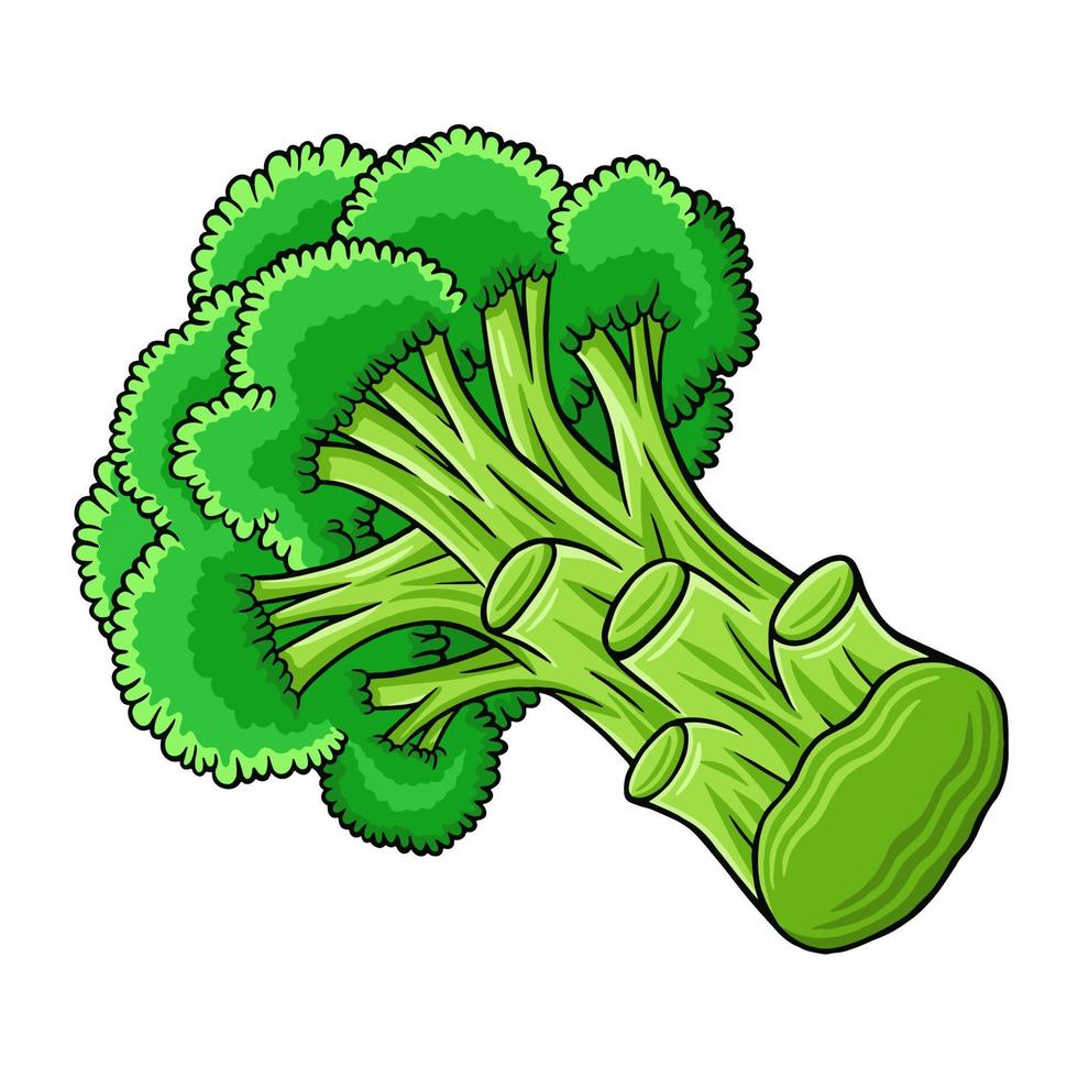 brocoli en illustration de style vectoriel