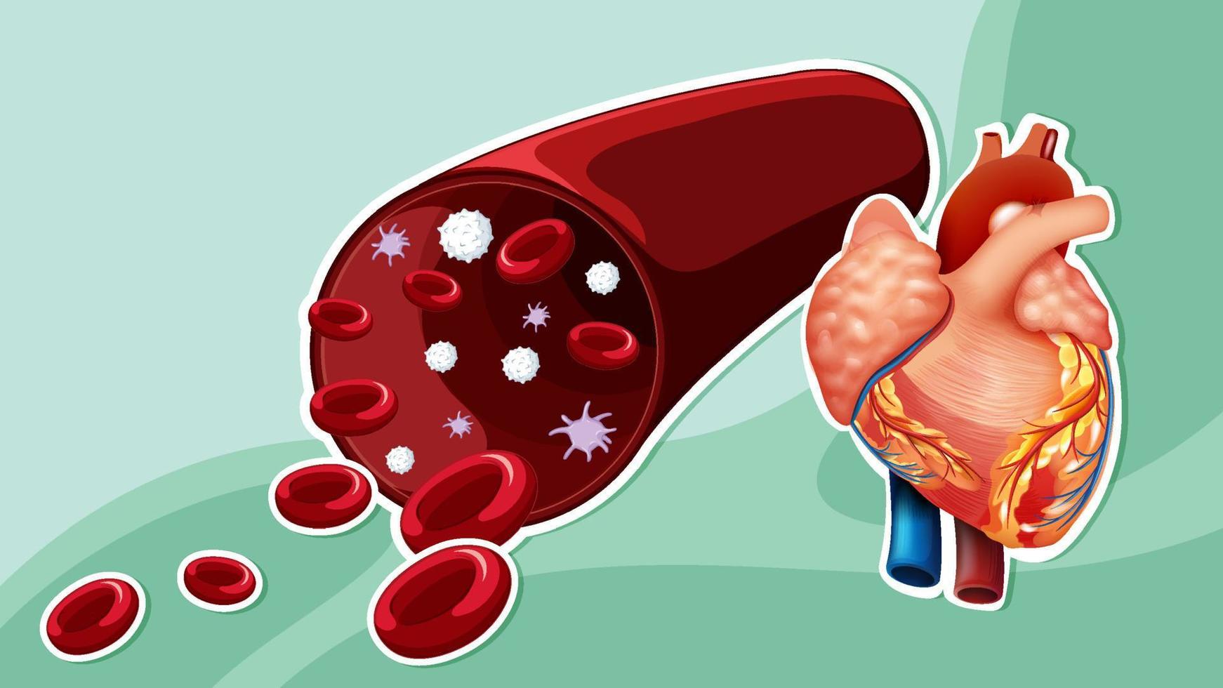 conception de vignettes avec hémoglobine sanguine vecteur