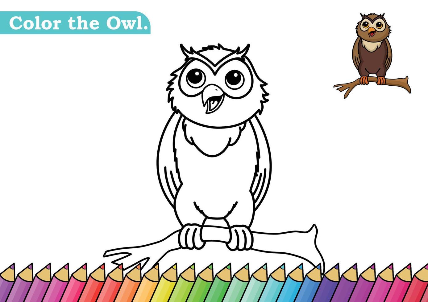 coloriage chouette. livre de coloriage isolé. pages de couleur pour les enfants. hibou isolé. vecteur