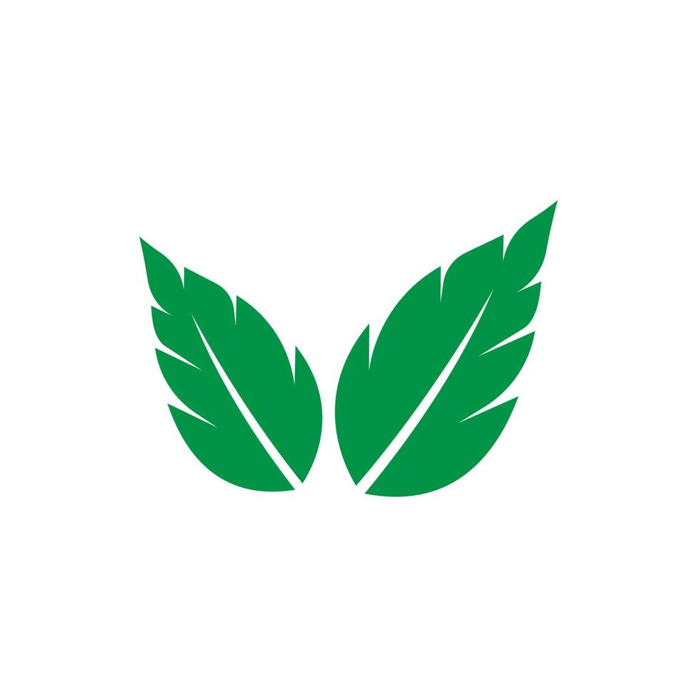 logo de feuille de menthe vecteur