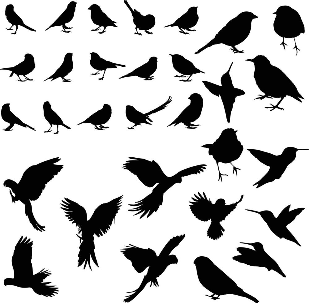 l'ensemble de la collection de silhouettes d'oiseaux vecteur