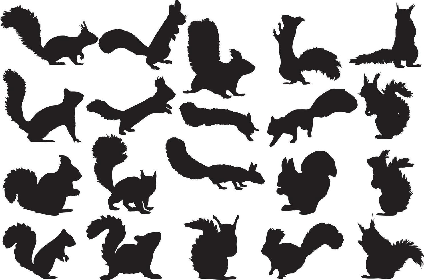 l'ensemble de la collection de silhouette d'écureuil vecteur