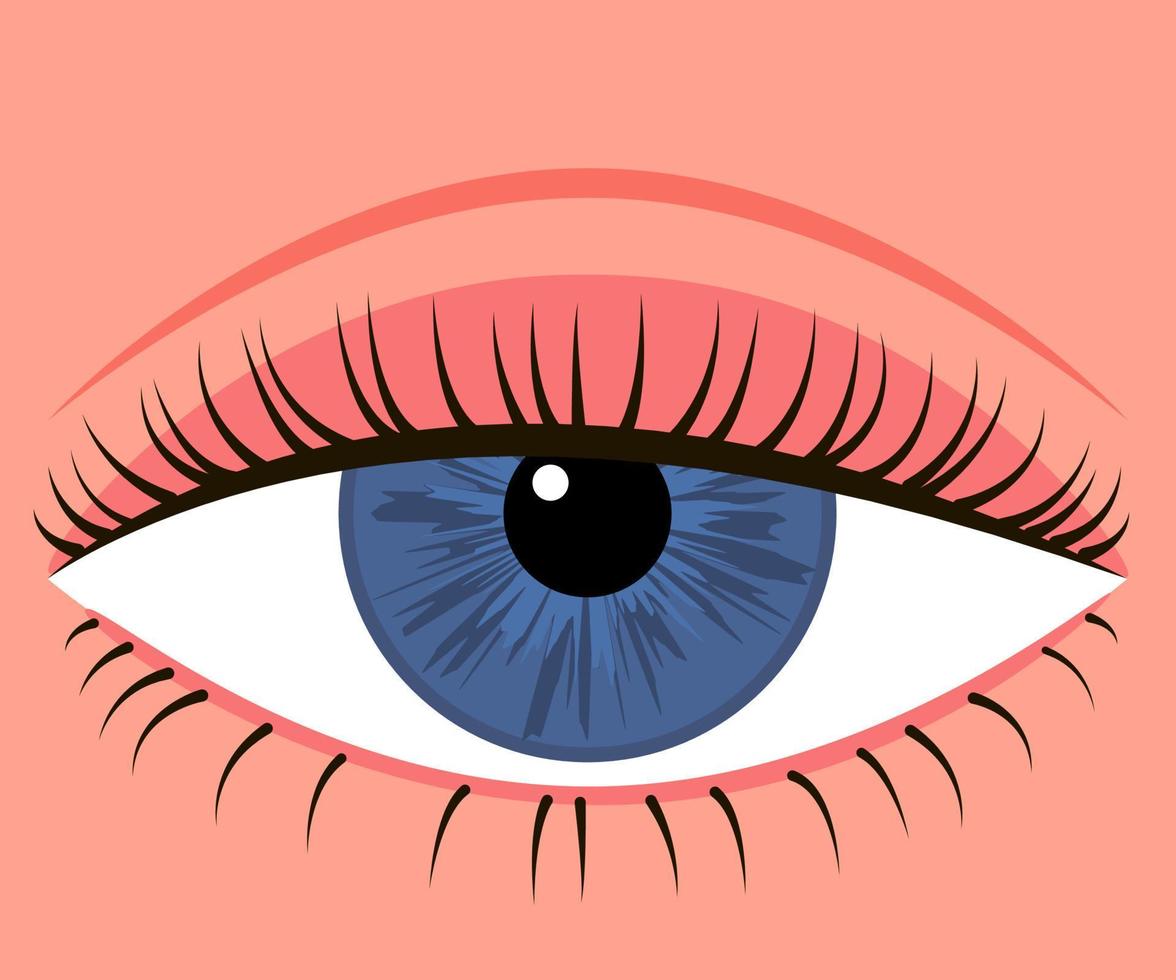 œil avec couvercle vers le bas. blépharoplastie, chirurgie des paupières. correction vue esthétique de l'oeil. illustration vectorielle vecteur