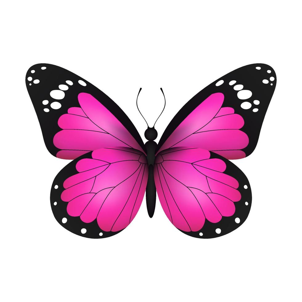 papillon monarque volant réaliste rose sur fond blanc. illustration vectorielle. conception d'impression décorative. ailes de fée colorées. vecteur
