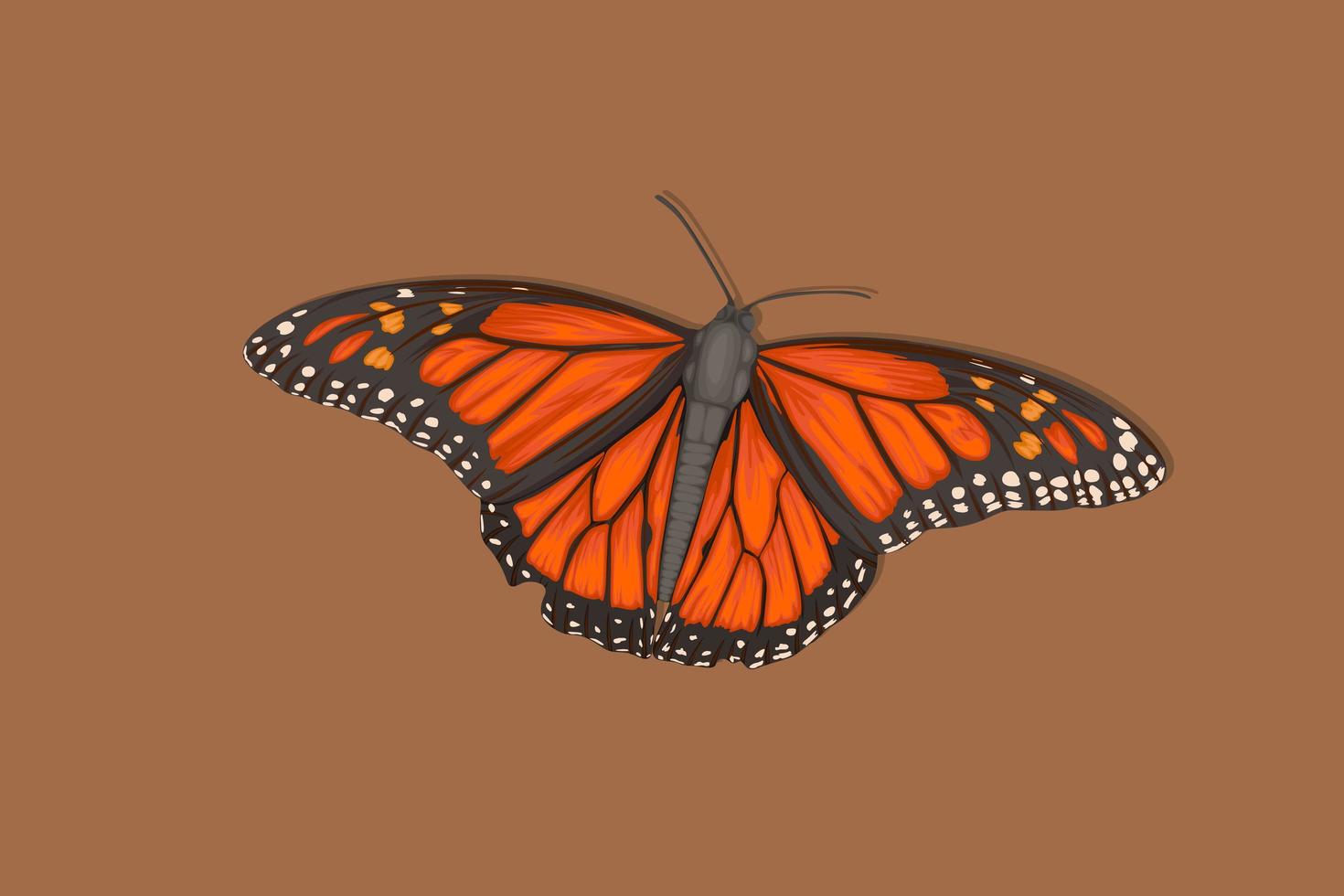papillon orange papillon dessin à la main réaliste vecteur