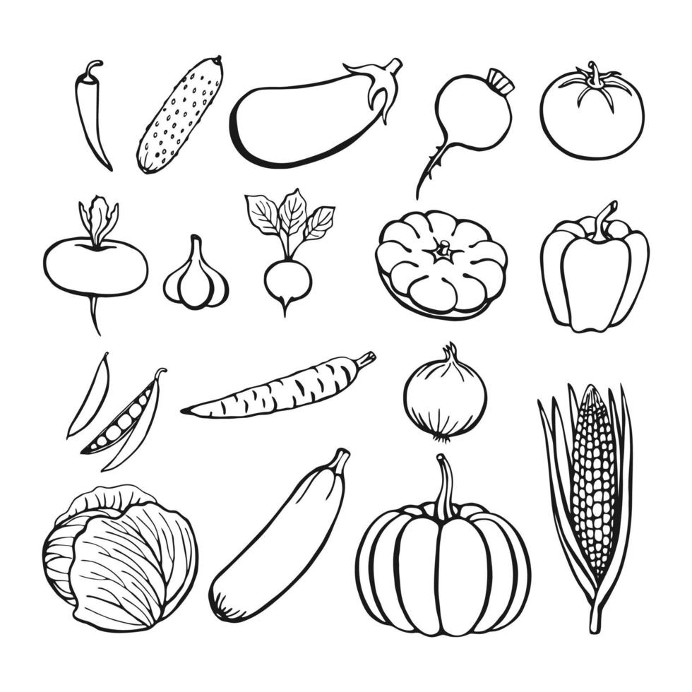 collection de légumes dessinés à la main, éléments isolés sur le blanc. illustration vectorielle. vecteur