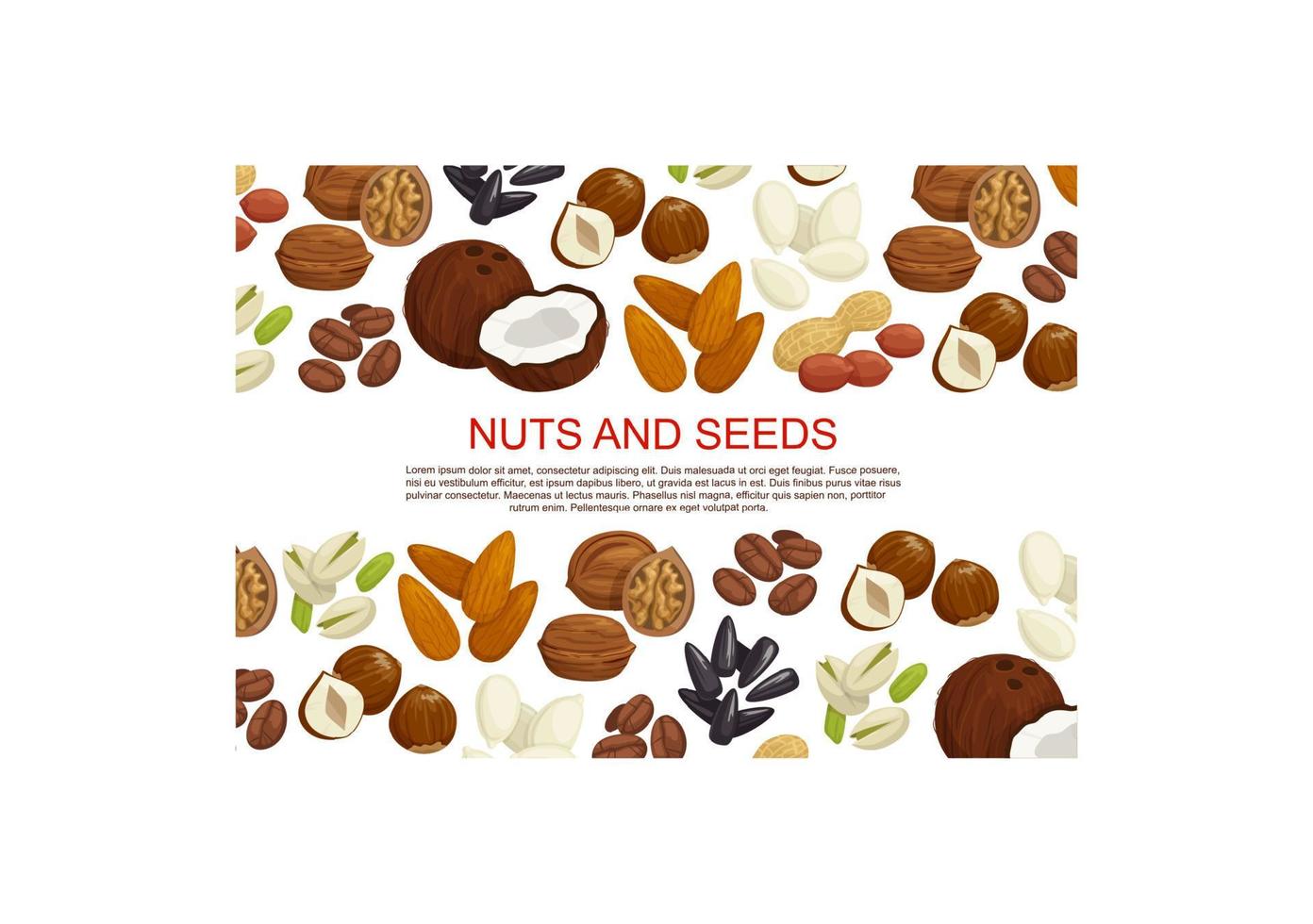 affiche de bonbons aux noix et aux graines de fruits de vecteur