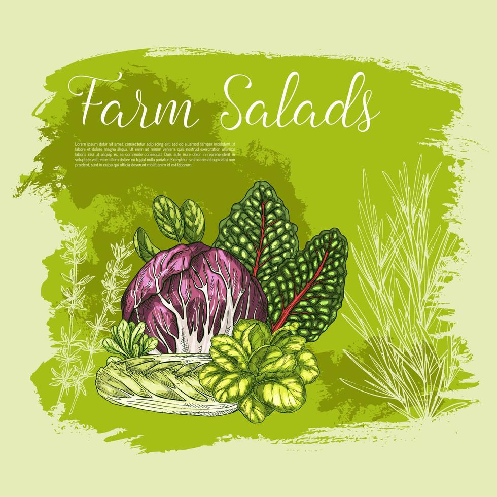 affiche de vecteur croquis salade de légumes frais de la ferme