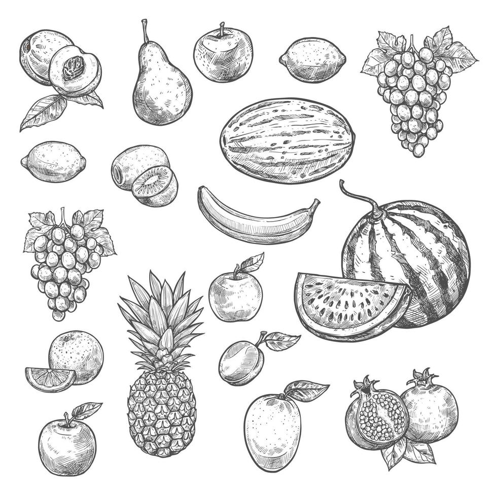 vecteur croquis fruits icônes isolées