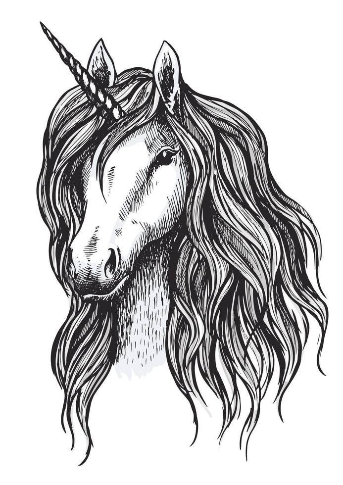 croquis de cheval licorne d'animal magique avec corne vecteur