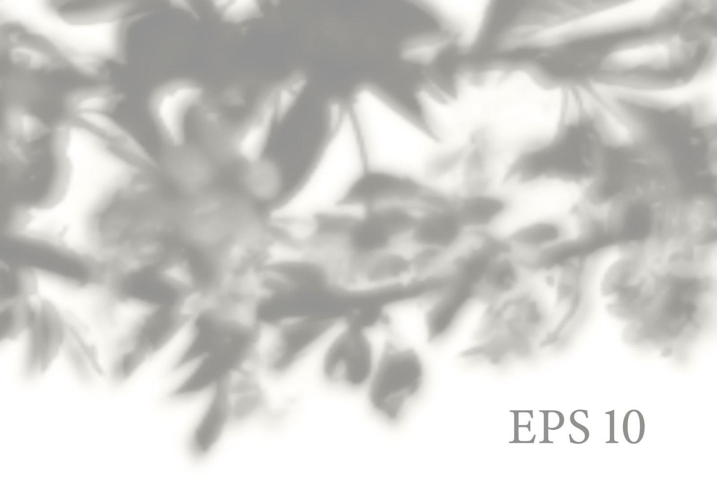 ombre de branche d'arbre de sakura naturel transparent. superposition d'effet de lumière. grille en maille. présentation de votre carte de conception, affiche, histoires photo illustration réaliste vecteur