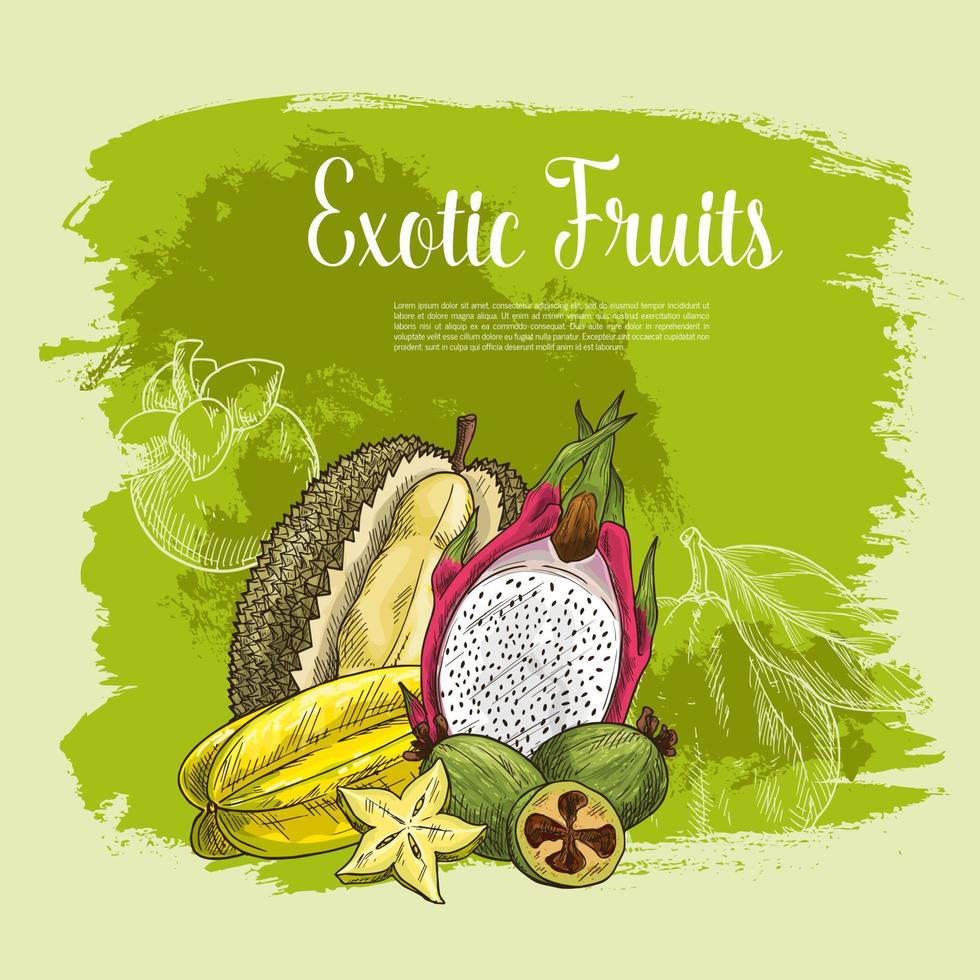 affiche de vecteur de fruits exotiques durian ou carambole