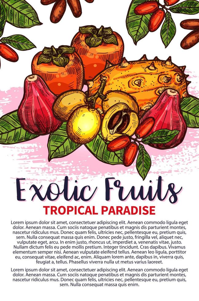 affiche de croquis de fruits tropicaux exotiques de fruits de vecteur