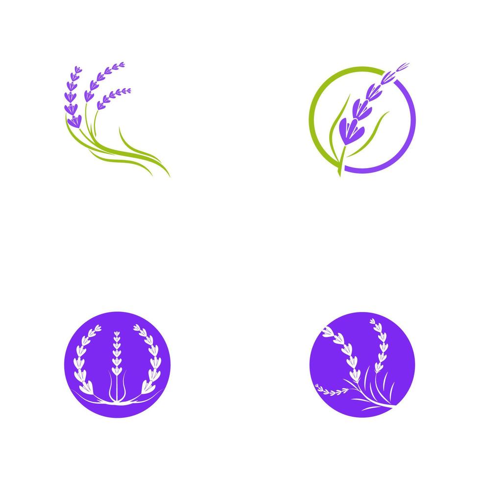 illustration d'icône vecteur fleur de lavande