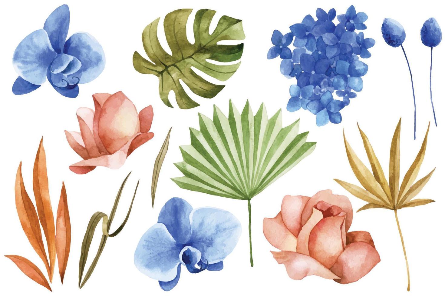 dessin à l'aquarelle, ensemble de feuilles tropicales sèches et de fleurs de style bohème. fleurs séchées, feuilles de palmier, roses, orchidée rose et bleue vecteur