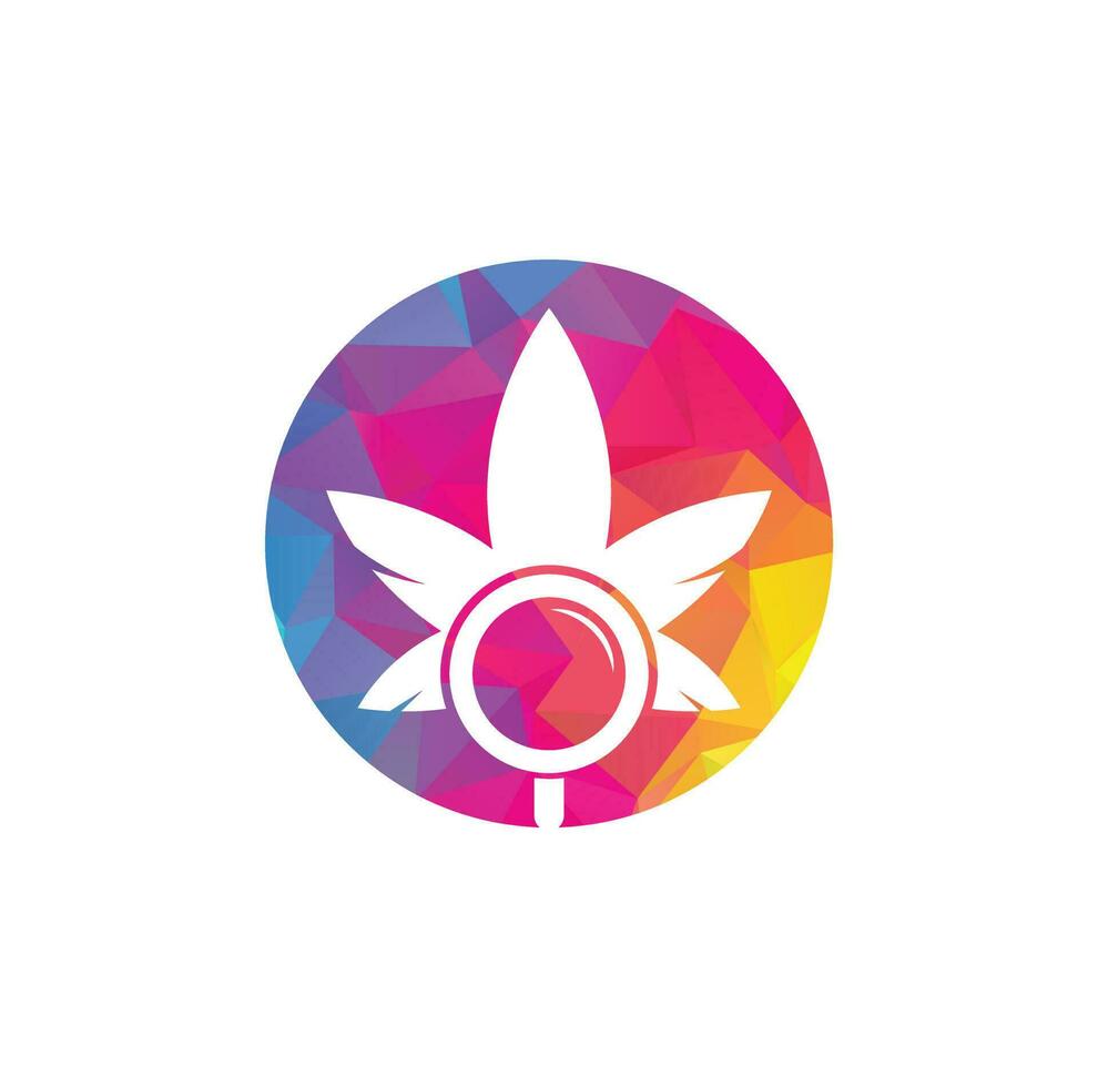 modèle vectoriel de conception de logo de recherche de cannabis. combinaison de logo feuille de marijuana et loupe. chanvre et symbole ou icône de loupe.