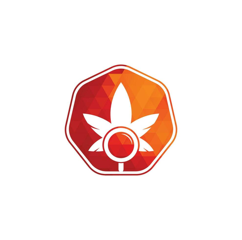 modèle vectoriel de conception de logo de recherche de cannabis. combinaison de logo feuille de marijuana et loupe. chanvre et symbole ou icône de loupe.