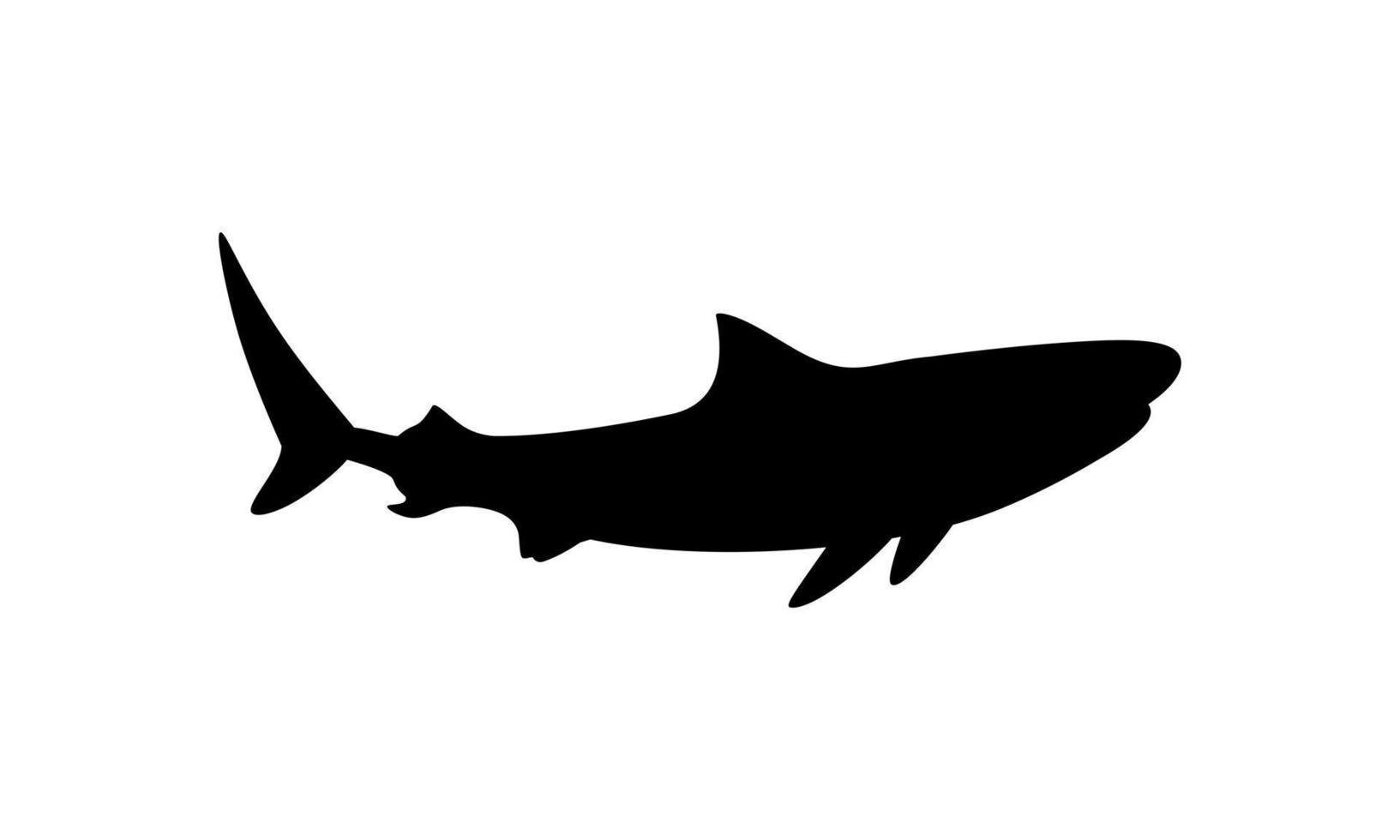 silhouette de requin pour logo, pictogramme, site Web, illustration d'art, infographie ou élément de conception graphique. illustration vectorielle vecteur