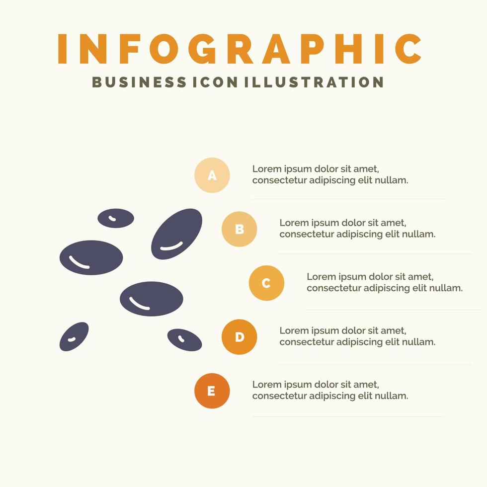 hématologie wbcs globules blancs globules blancs solide icône infographie 5 étapes présentation backgroun vecteur