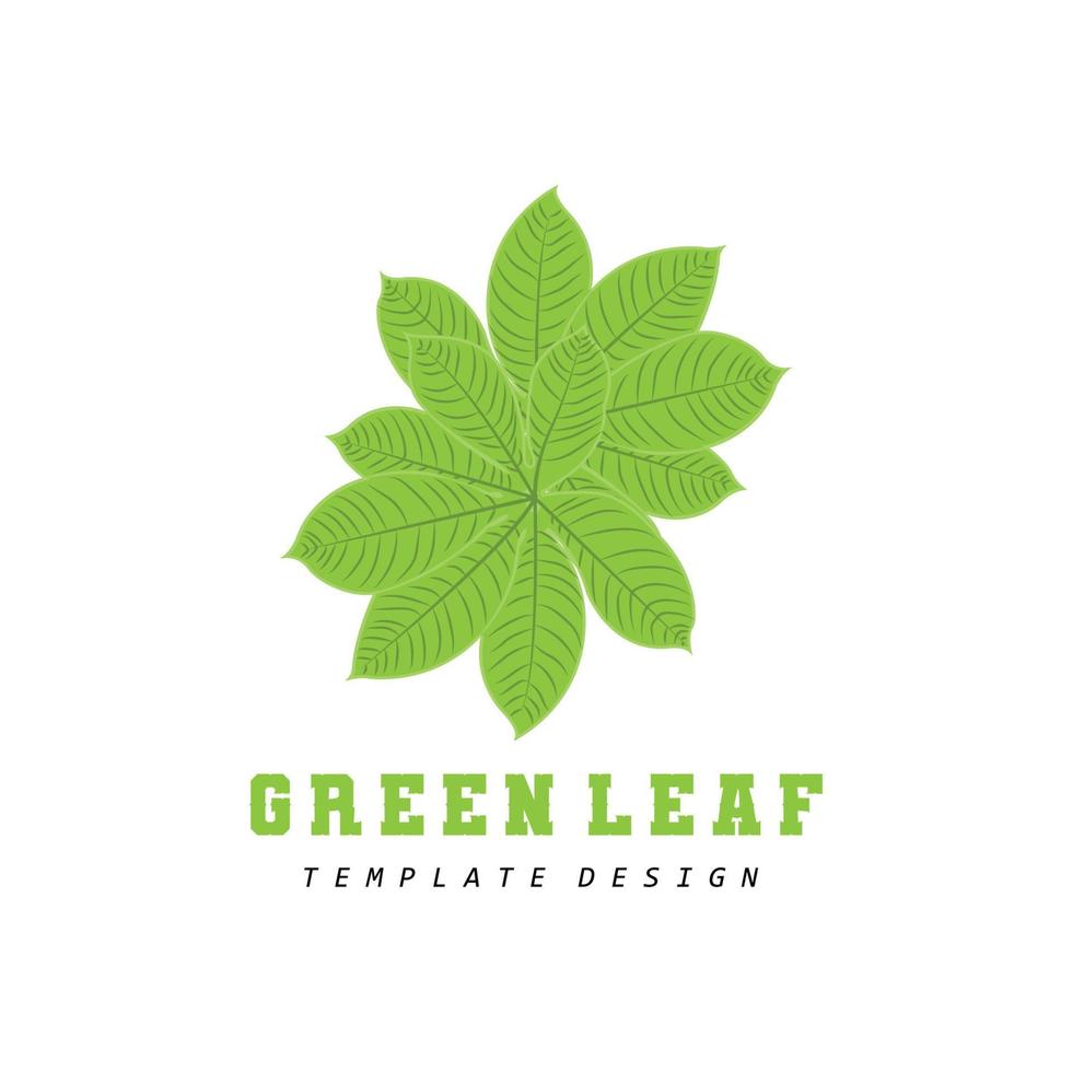 feuille logo plante verte conception feuilles d'arbres produit marque modèle illustration vecteur