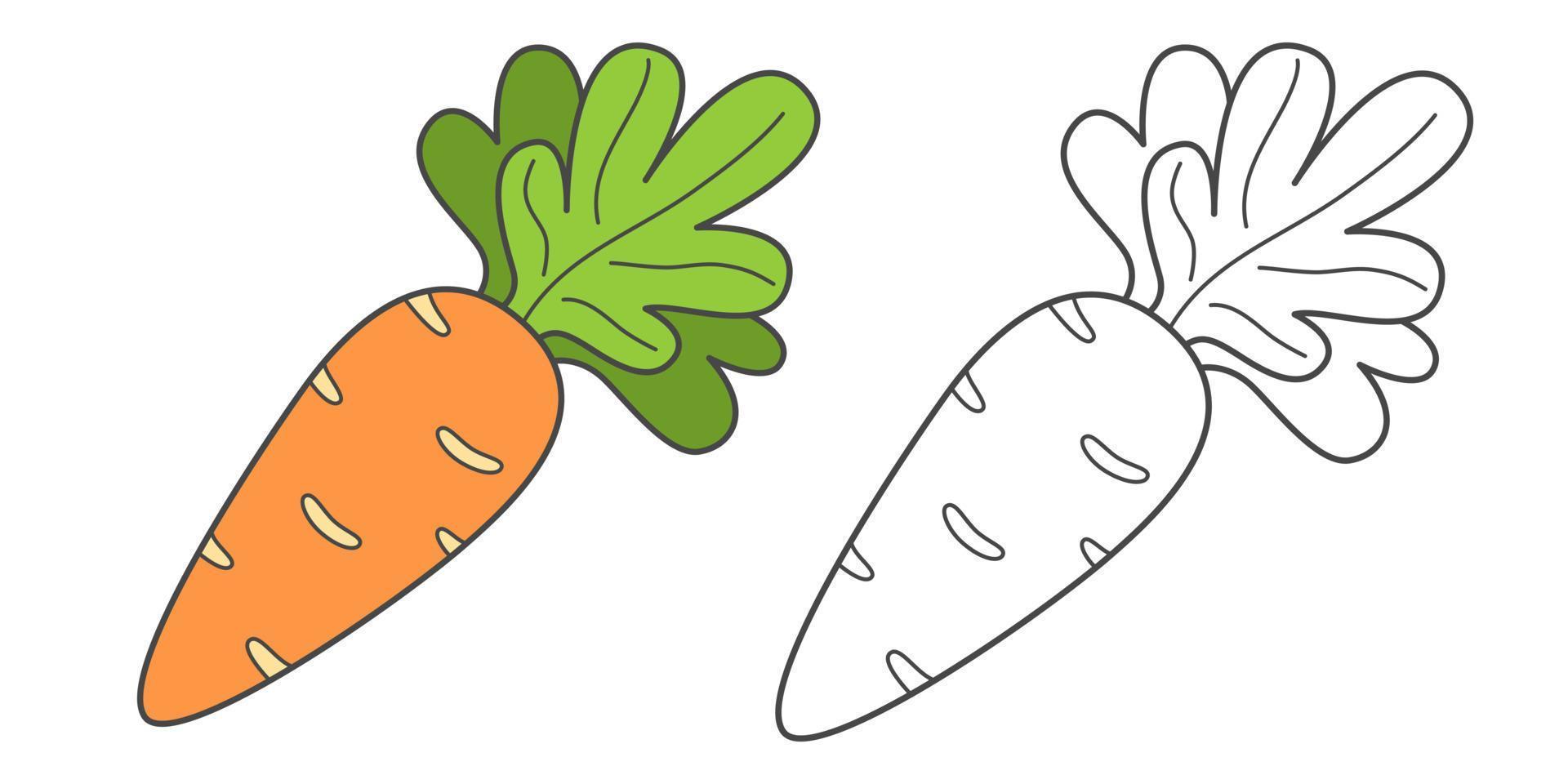 livre de coloriage pour enfants carotte. livre de coloriage avec légume de dessin animé mignon. illustration vectorielle. vecteur