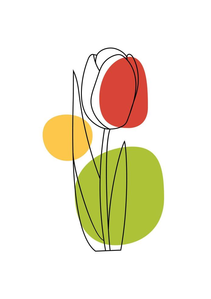 affiche abstraite de fond décoratif avec fleur de tulipe et formes géométriques. affiche pour impression, couverture, papier peint, art mural minimal et naturel dans le style bohème. vecteur