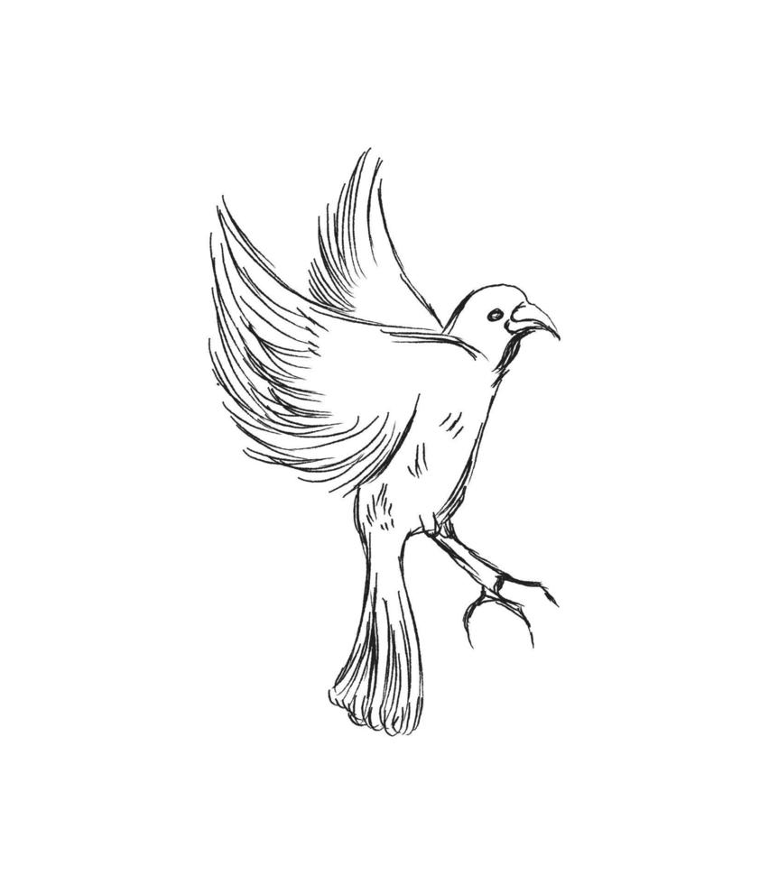 notion de liberté. pigeon dessiné à la main volant à deux mains. liberté de vie, oiseau libre appréciant l'illustration vectorielle isolée de la nature. vecteur