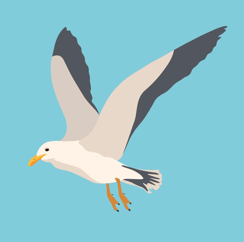 dessin animé oiseau de mer atlantique, mouettes volant sur fond blanc isolé. mer, océan, mouette, oiseau dans un style plat vectoriel
