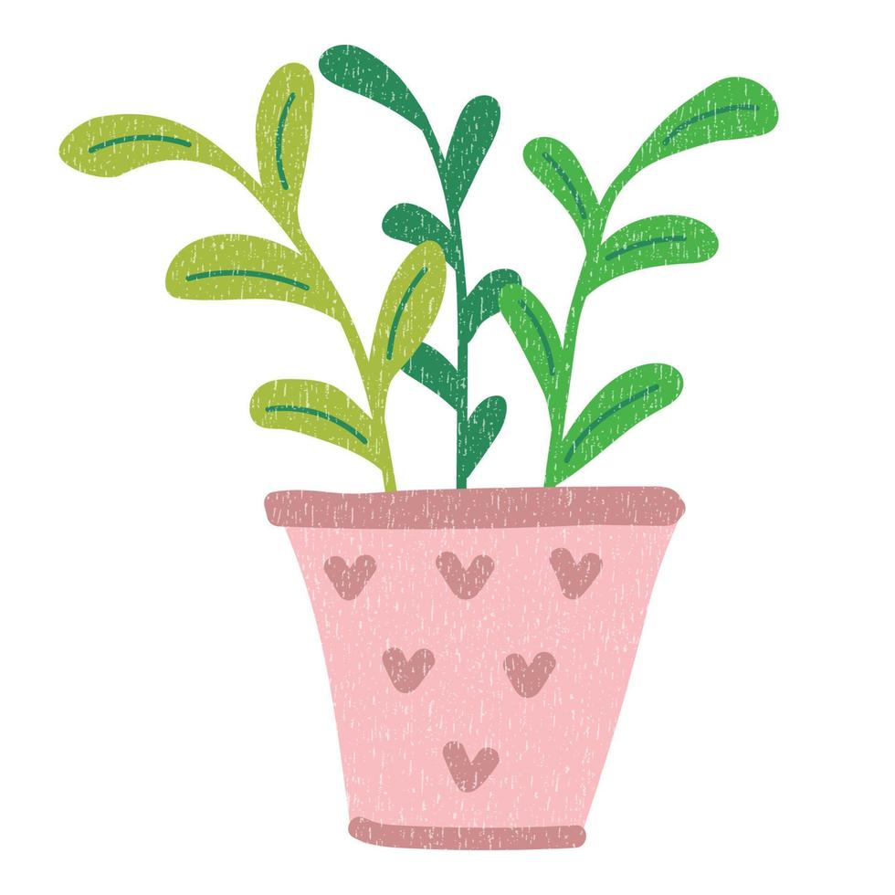 fleur, plante à feuilles en pot. plante domestique. style minimal de dessin animé plat. vecteur