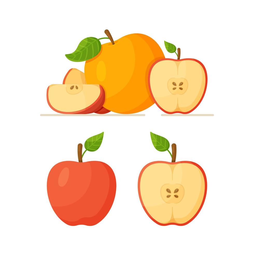 un ensemble de pommes différentes sur fond blanc. illustration vectorielle de fruits isolés sur fond blanc. pommes fraîches faites maison. vecteur