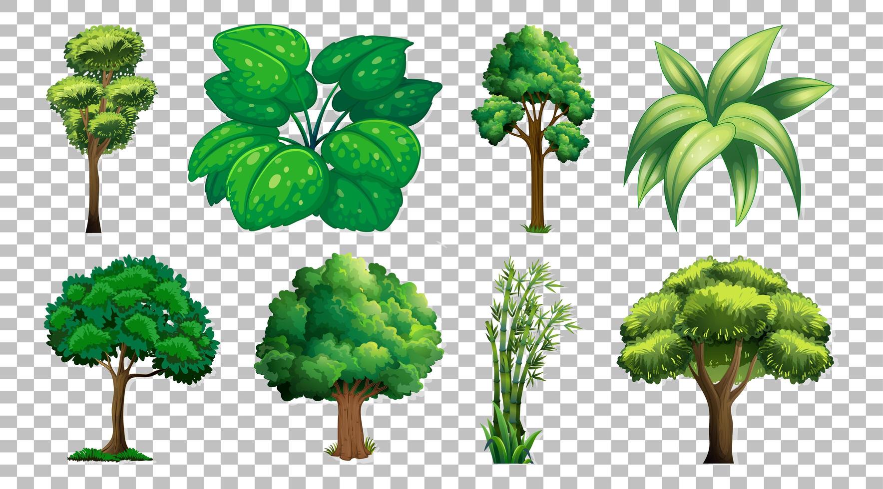 ensemble d'arbres et de plantes vecteur