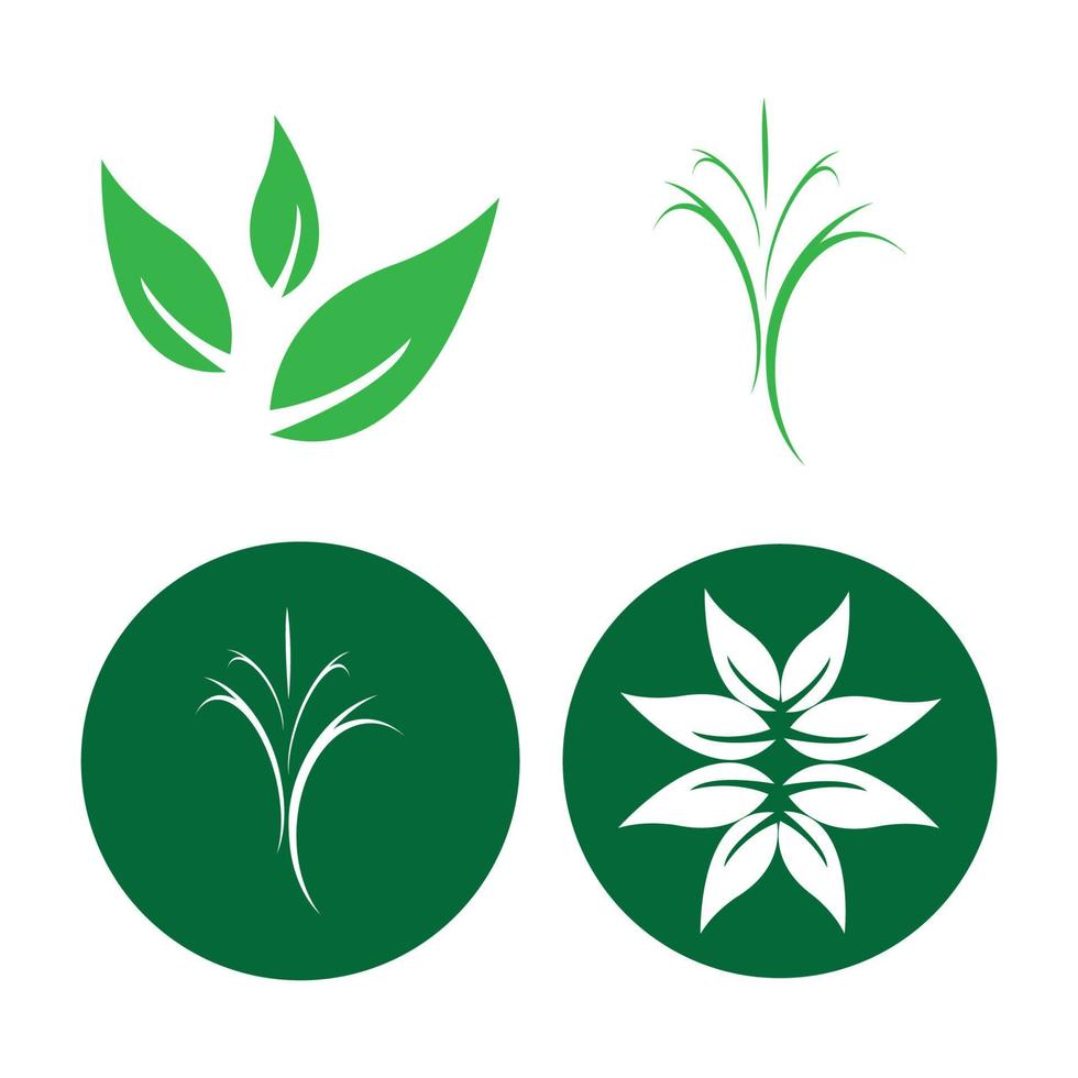 modèle de logo de feuille d'arbre écologique vecteur