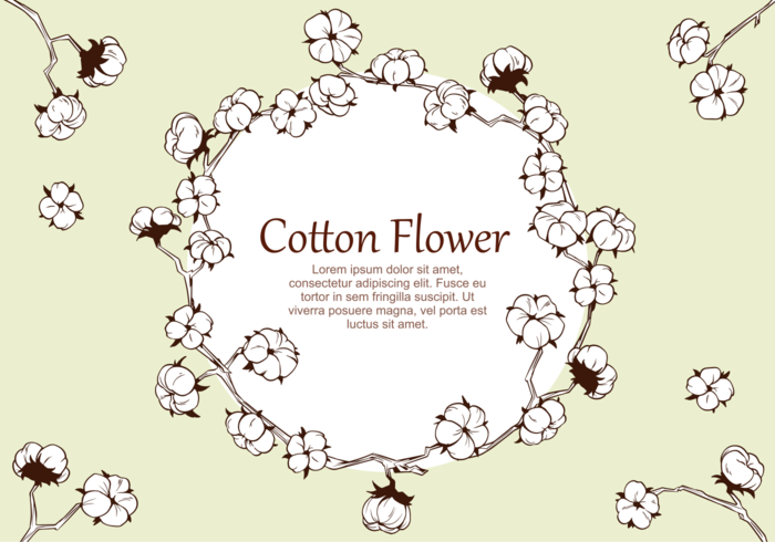 Vecteur de plante de fleur de coton