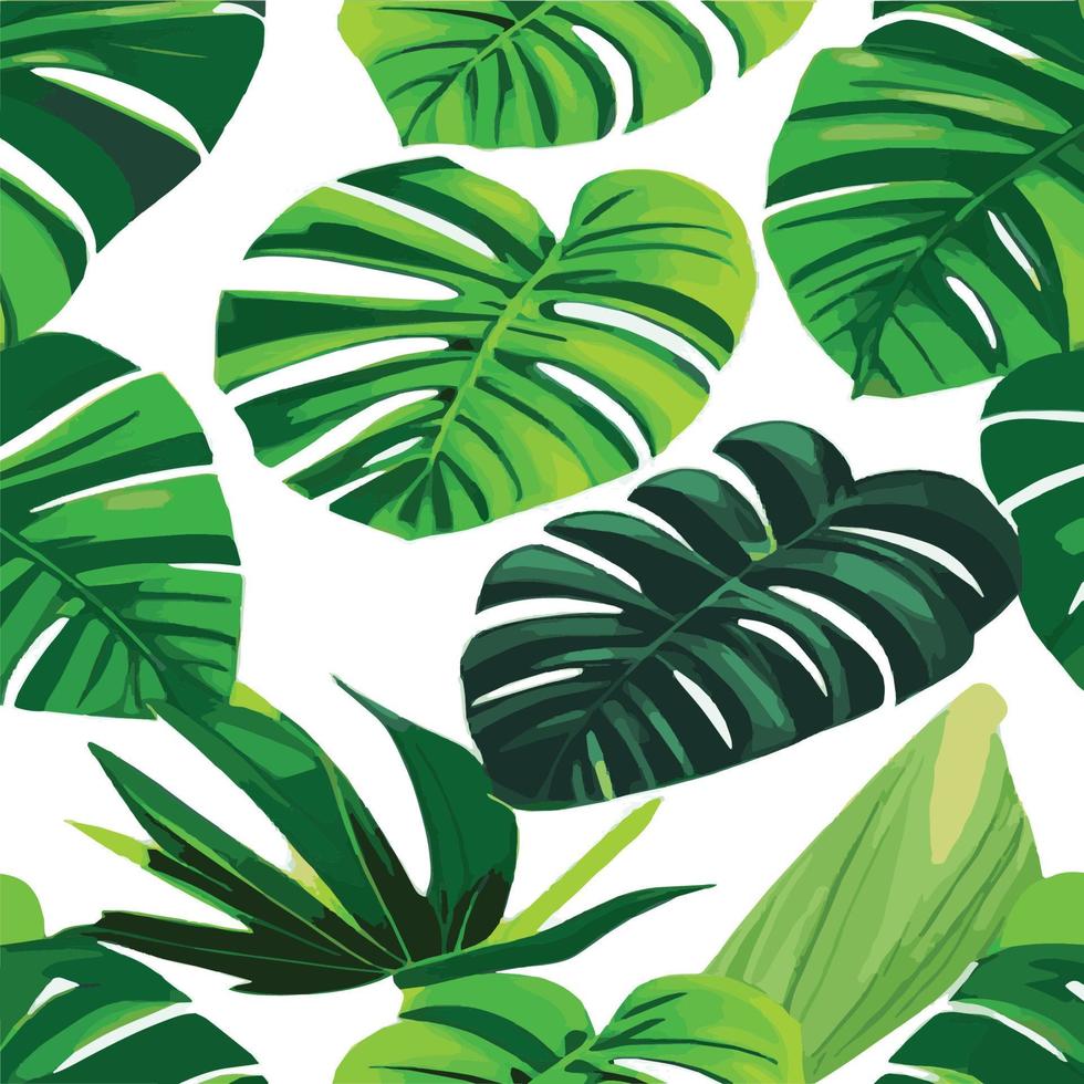 fond blanc motif monstera vert. motif exotique avec des feuilles tropicales. illustration vectorielle. motif de feuilles de monstera. feuilles de palmier tropical. tissu design exotique, impression textile, papier d'emballage vecteur