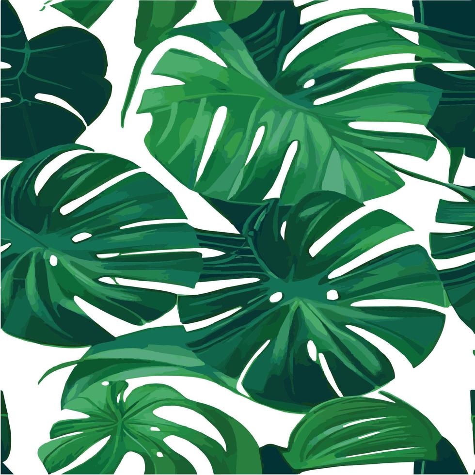 fond blanc motif monstera vert. motif exotique avec des feuilles tropicales. illustration vectorielle. motif de feuilles de monstera. feuilles de palmier tropical. tissu design exotique, impression textile, papier d'emballage vecteur