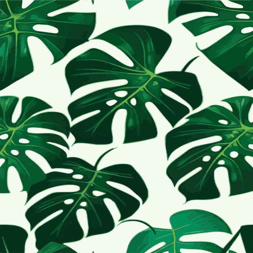 fond blanc motif monstera vert. motif exotique avec des feuilles tropicales. illustration vectorielle. motif de feuilles de monstera. feuilles de palmier tropical. tissu design exotique, impression textile, papier d'emballage vecteur