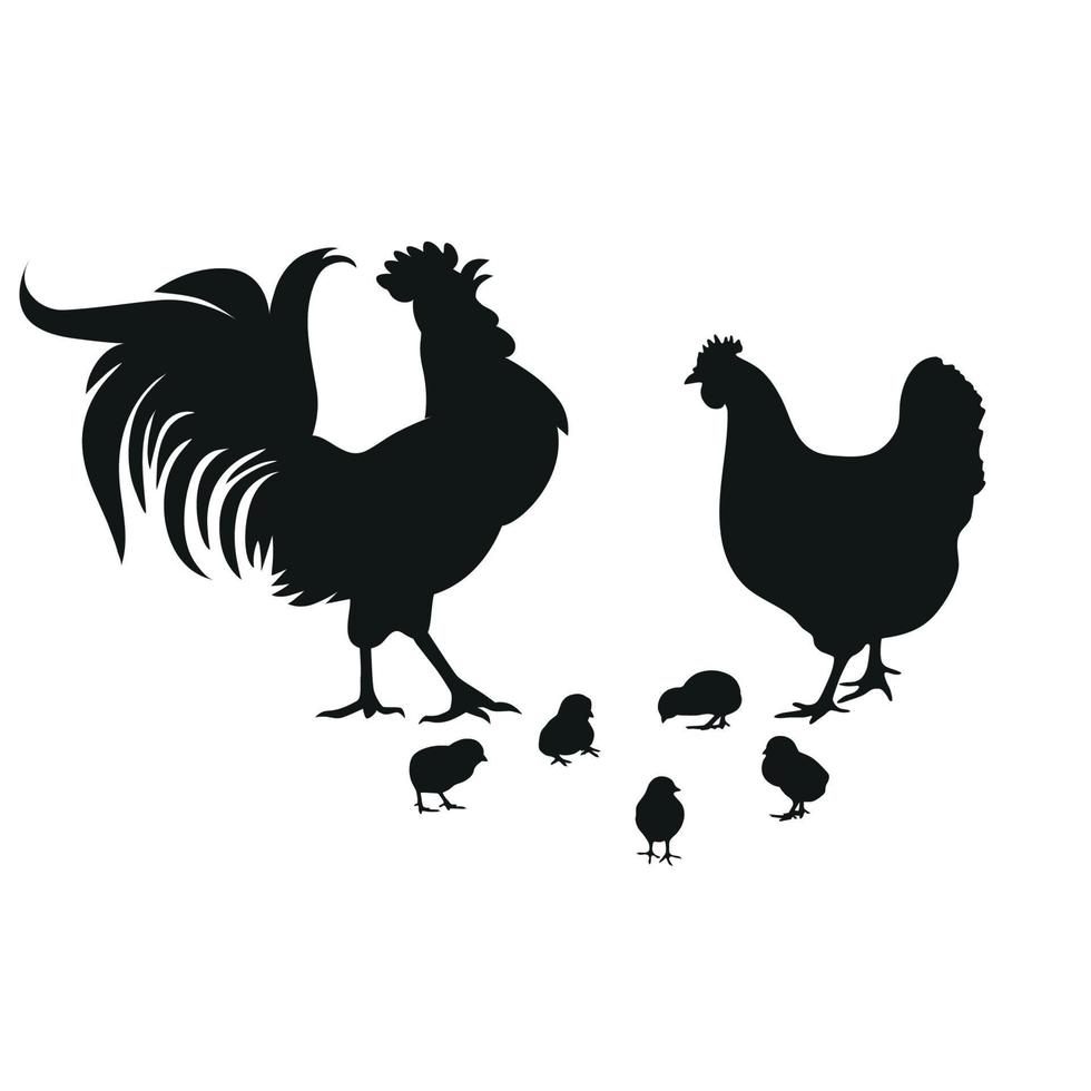 coq avec poule et poussins vecteur