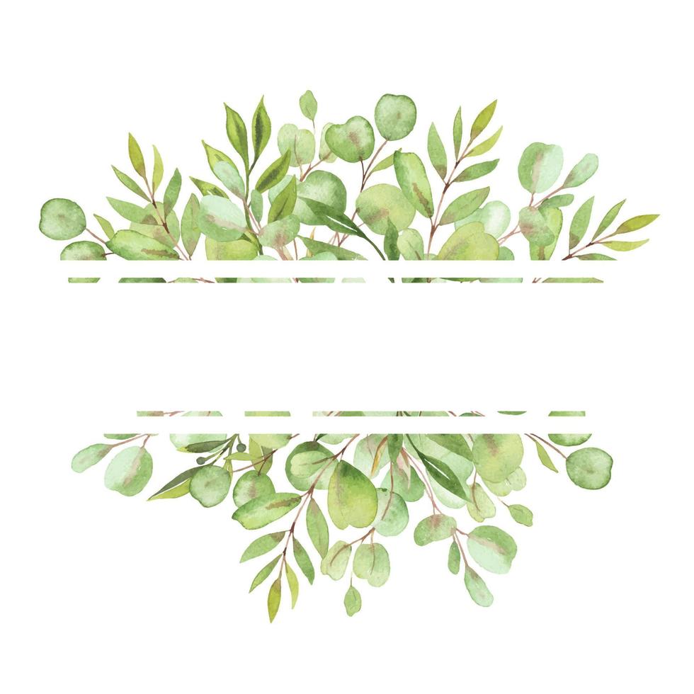 cadre d'illustration aquarelle avec feuilles et verdure d'eucalyptus vecteur