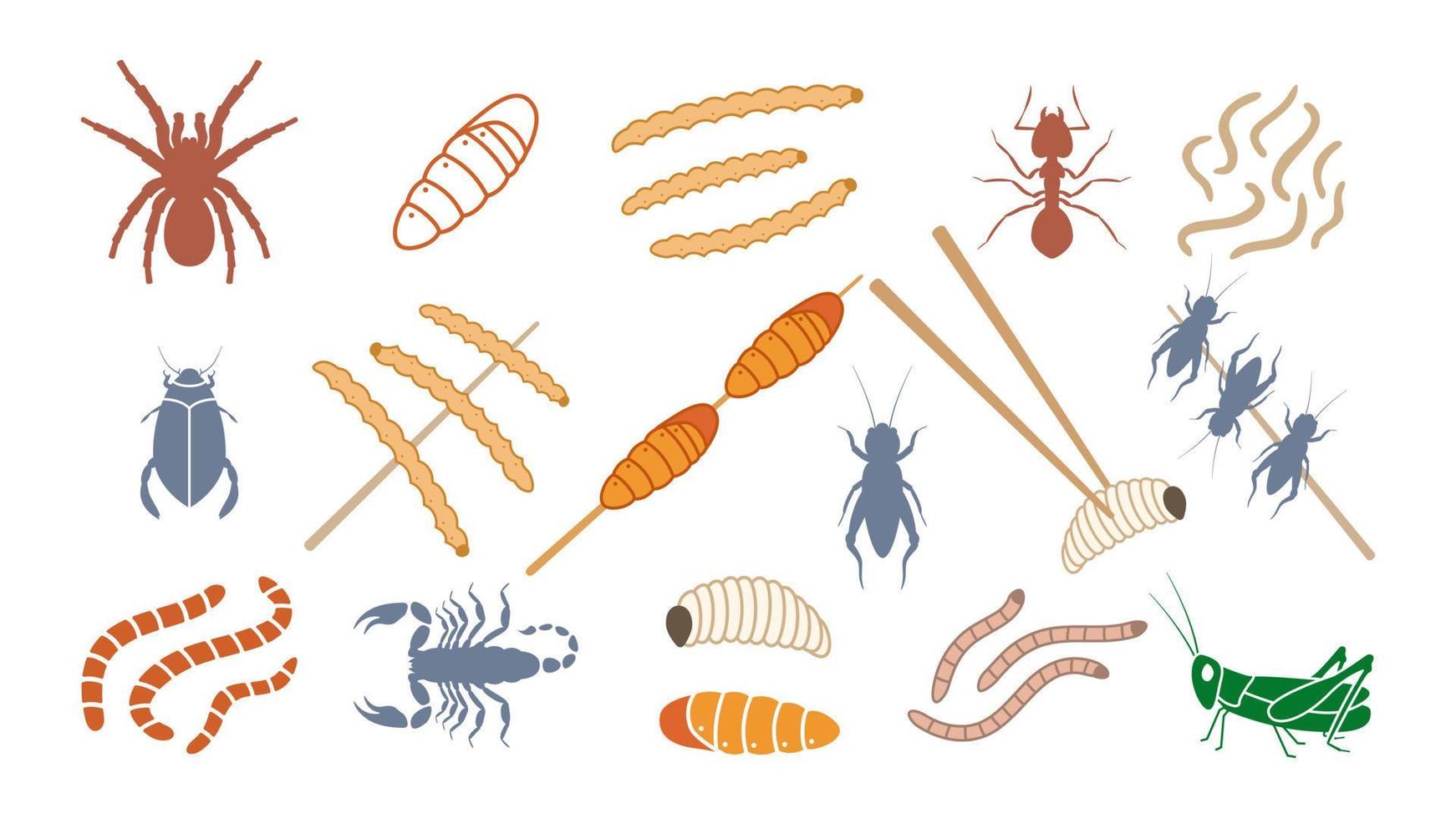 Les types d'insectes comestibles