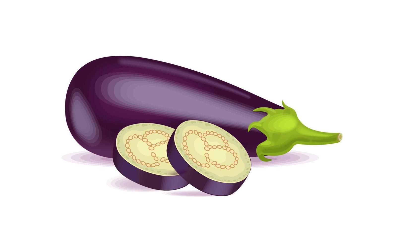 légume aubergine avec cercles coupés. nourriture saine. illustration vectorielle pour la ferme ou la conception végétarienne vecteur