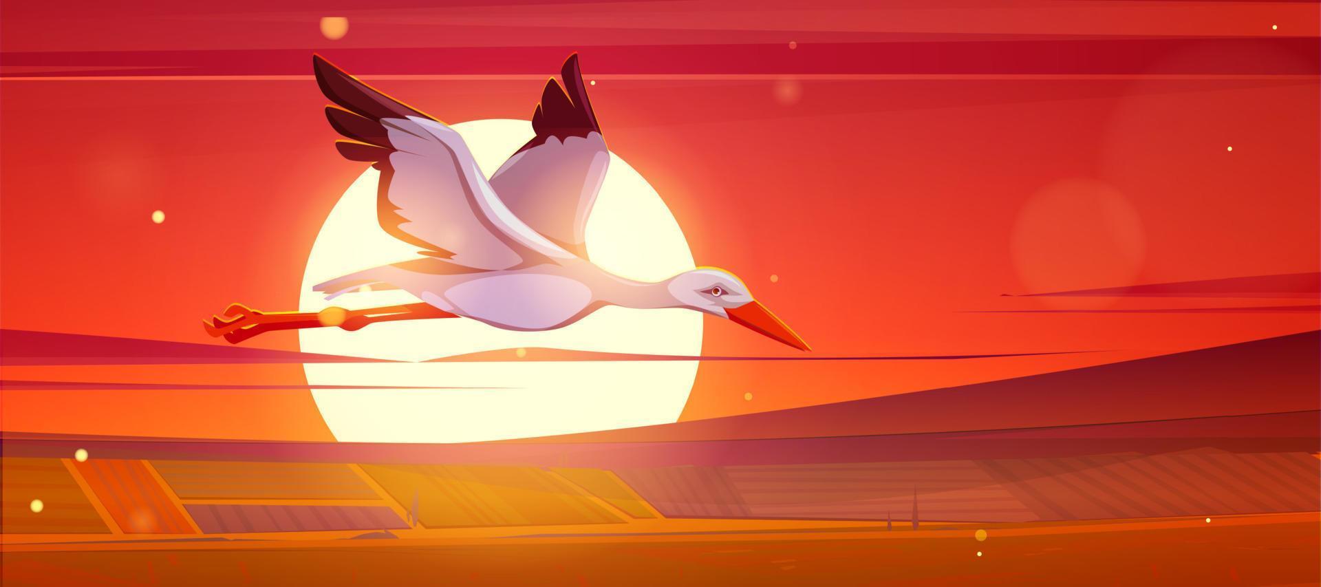 cigogne blanche volant au-dessus des champs au coucher du soleil vecteur