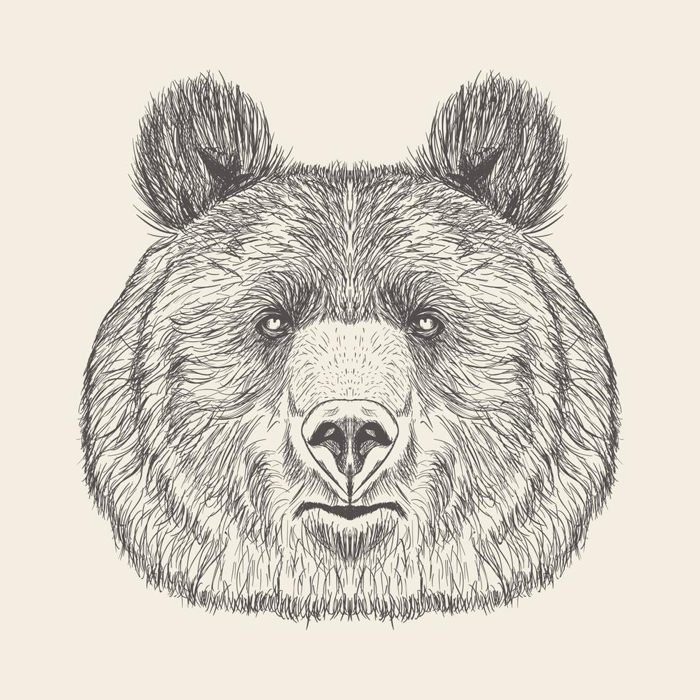 tête d'ours à la mode vecteur