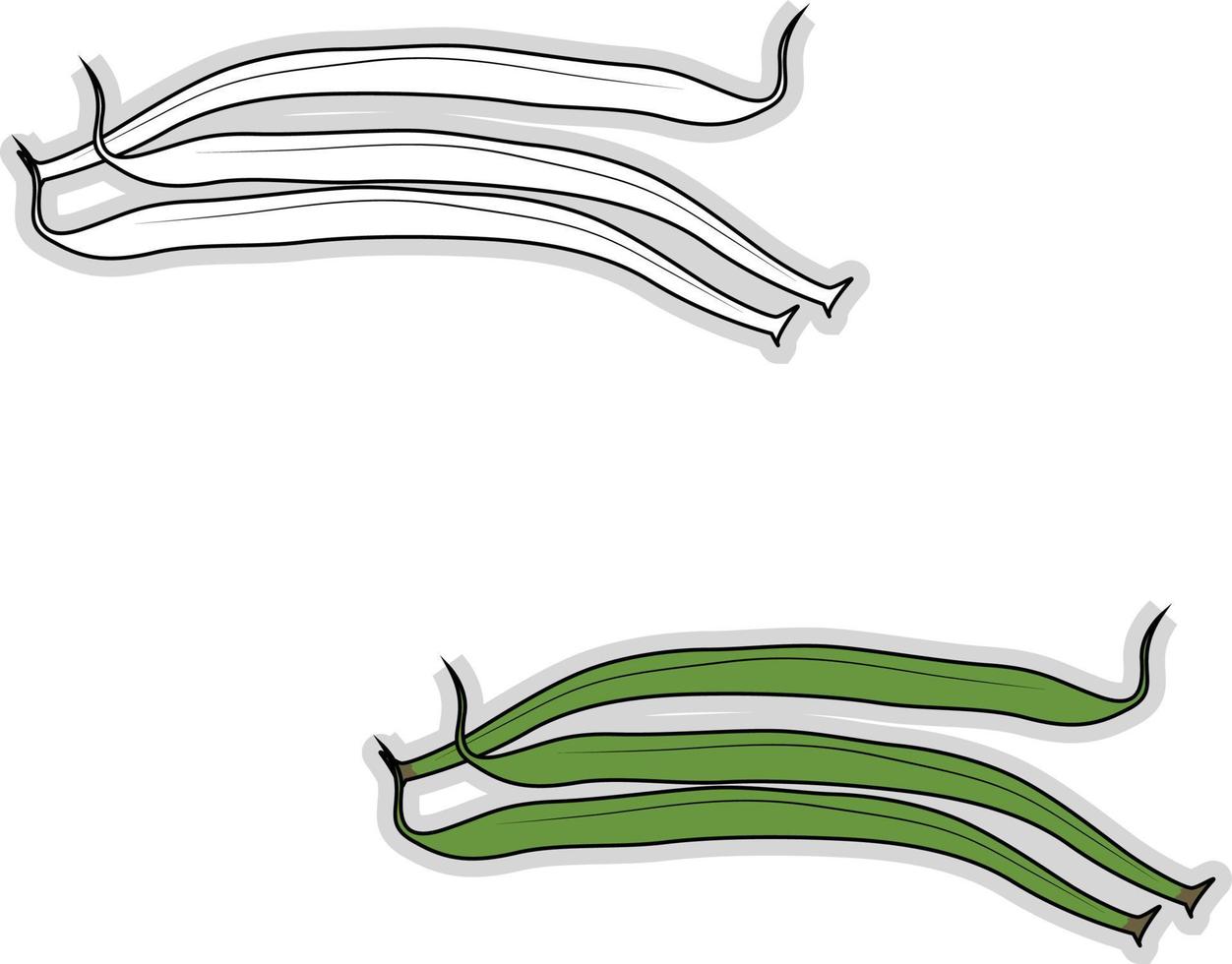 Haricots verts frais, illustration, vecteur sur fond blanc.