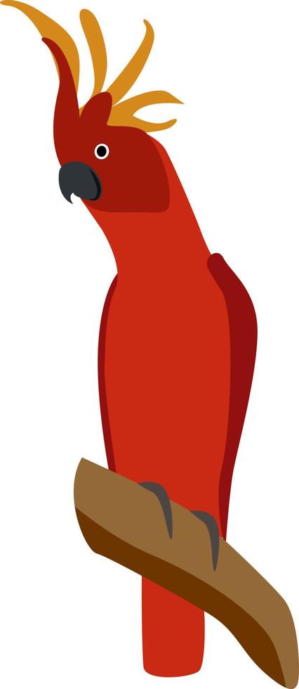 perroquet rouge, illustration, vecteur sur fond blanc.