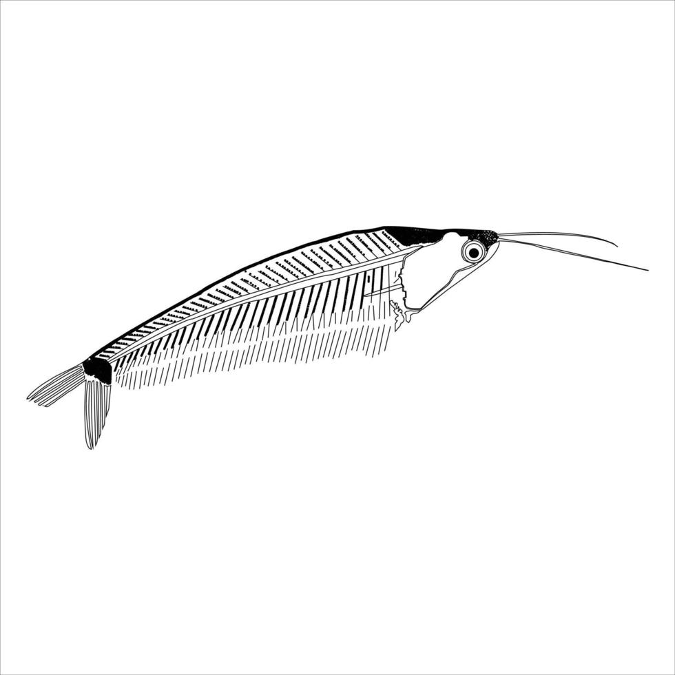 conception de vecteur de poisson-chat en verre africain et illustrateur d'art vectoriel