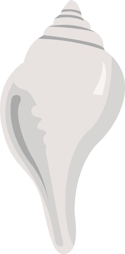 Jolie coquille blanche, illustration, vecteur sur fond blanc