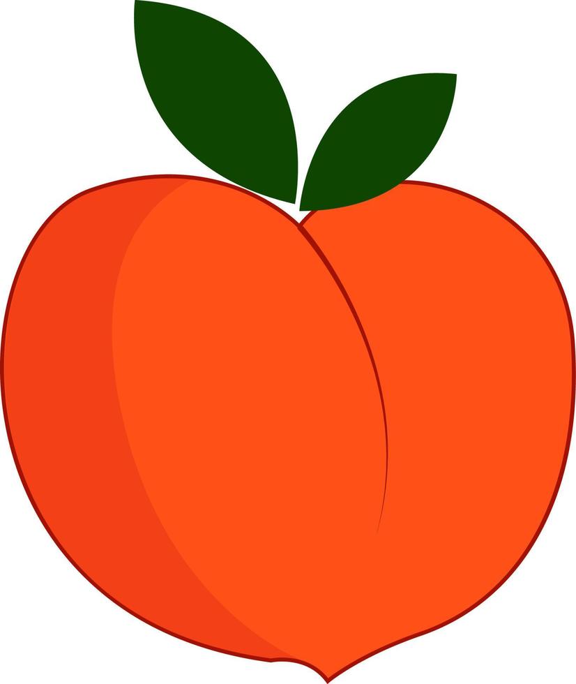 Big Peach, illustration, vecteur sur fond blanc.