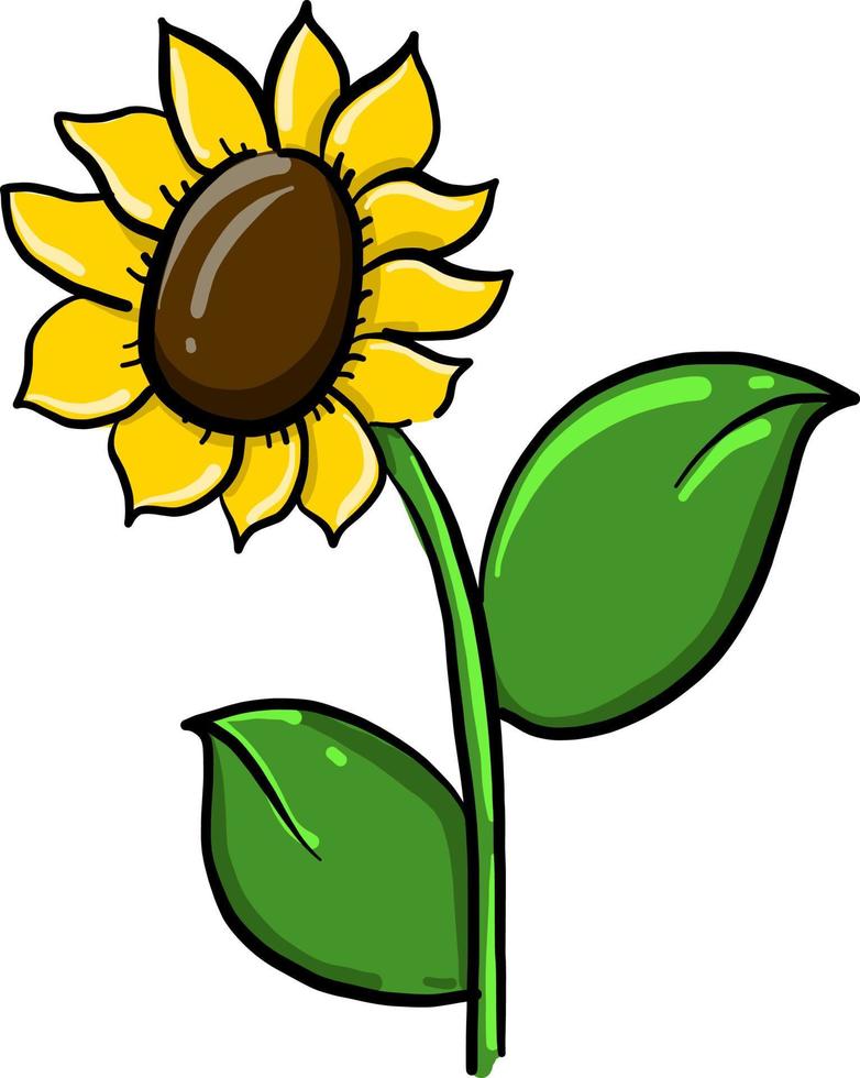 Tournesol, illustration, vecteur sur fond blanc